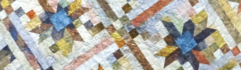 A Quilt by a VSSQ Member Quilt by VSSQ Member